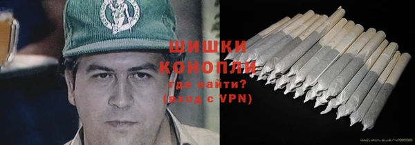 ГАЛЛЮЦИНОГЕННЫЕ ГРИБЫ Галич