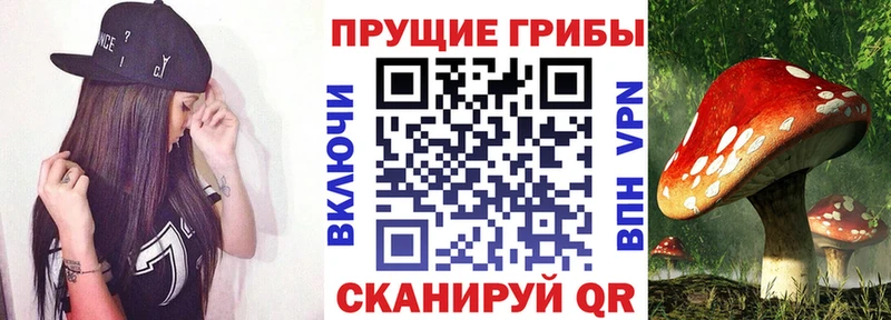 Псилоцибиновые грибы мицелий  наркошоп  даркнет какой сайт  Клин 