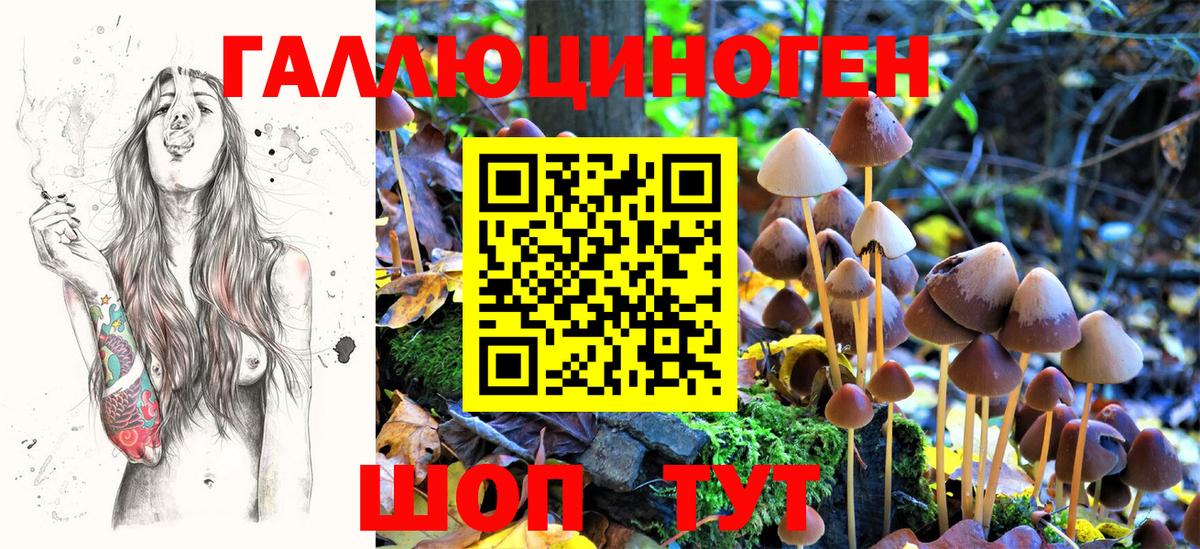 Псилоцибиновые грибы GOLDEN TEACHER Клин