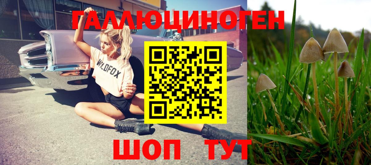 Галлюциногенные грибы Psilocybe  Галлюциногенные грибы Psilocybe  Клин  Вход с VPN 